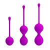 Pretty Love Kegel Ball