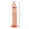 Barbara Calvin Dildo - Image 3